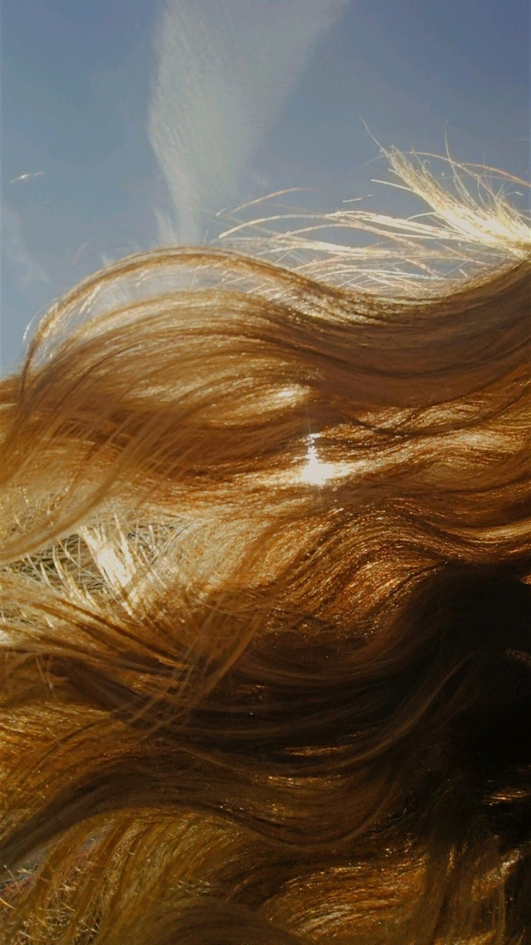 Coming Soon: Il Sole Skær Shine Hair Oil 100ml